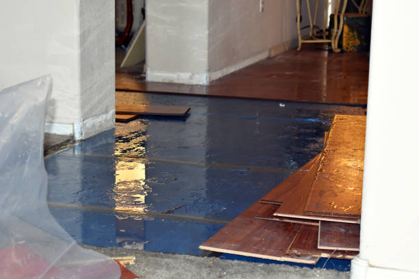 Professional Burst Pipe Cleanup technician working in Trail, OR